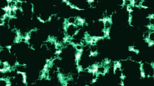 Abstract circuit background animation .amazing background loop animated