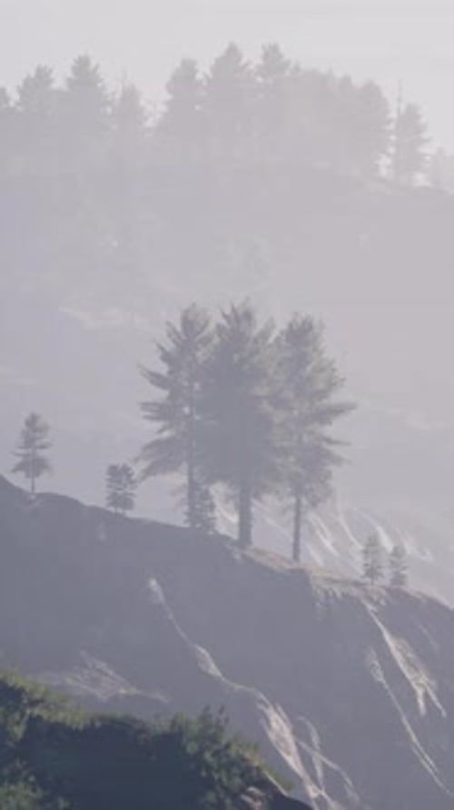 Majestic Green Mountain Forest on Fog Background