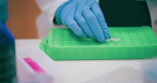 Scientist Working in Medical Laboratory Cancer Research Covic 19 Pandemic