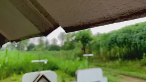 Light Rain Falling in the Countryside