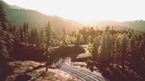 Uma estrada florestal serena ao pôr do sol
