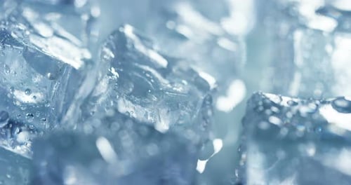 Close Up of Ice Cubes Melting with Water Droplets