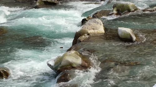 El agua turbulenta del río se precipita sobre rocas heladas en cámara lenta.