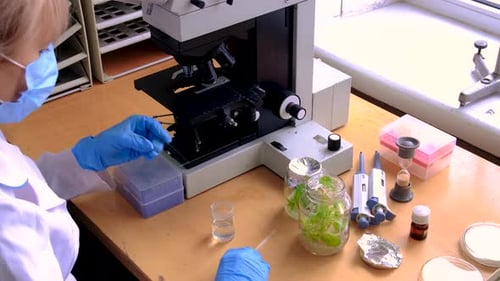 Scientist Conducting Research with Microscope in Laboratory