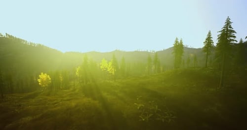 Le soleil doré baigne une vallée tranquille parsemée d'arbres épars et de douces collines
