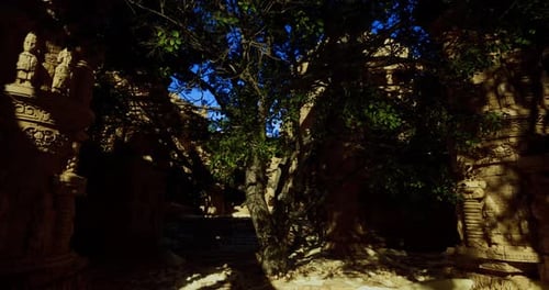 Ancient Stone Carvings Reveal Hidden Paths in a Sacred Site at Dusk