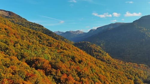 Vue aérienne de la vibrante forêt d'automne sur une montagne en pente