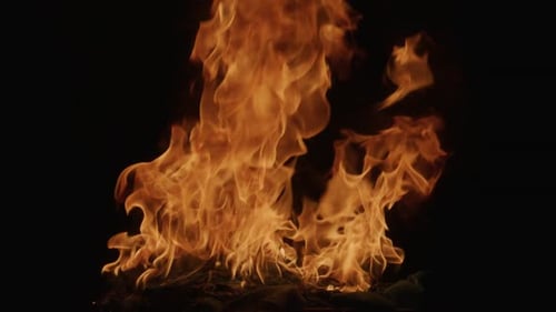 Fire Flames on Black Backdrop Fire Texture Blazing Fire Flame Slow Motion Intense Burning Fire