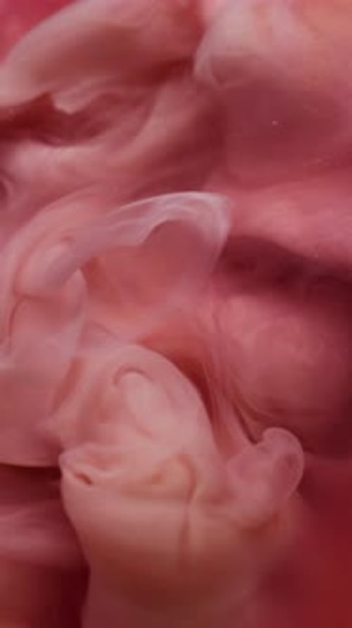 Vertical Smoke Paint Vapor Cloud Splash Water Flow