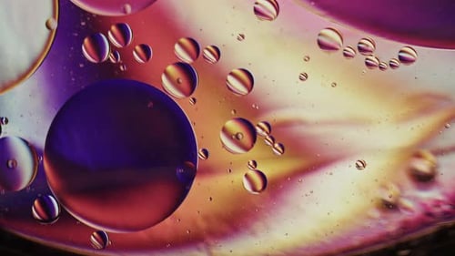 Macro Abstract Bubbles and Colorful Liquid