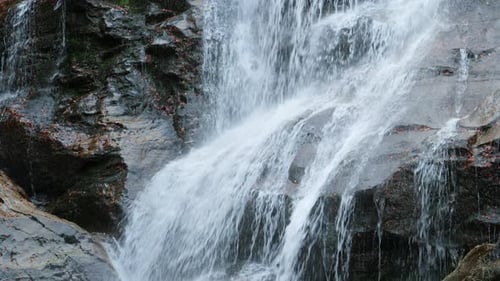 Nahaufnahme eines mächtigen Wasserfalls, der in einer wilden Waldumgebung eine felsige Klippe hinunterstürzt