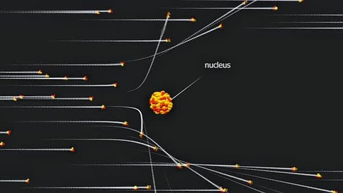 Abstract Particle Scattering Simulation Around Atomic Nucleus