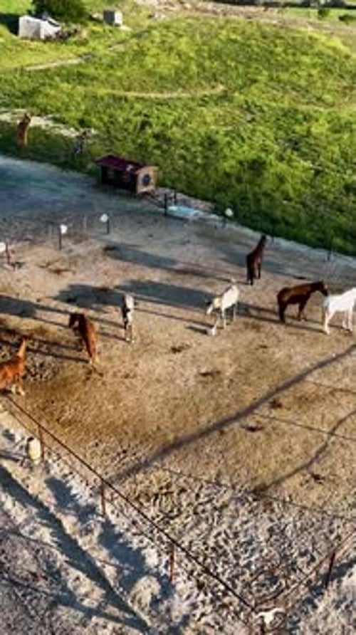 Vertical Video Horseback Riding in Cappadocia Aerial View