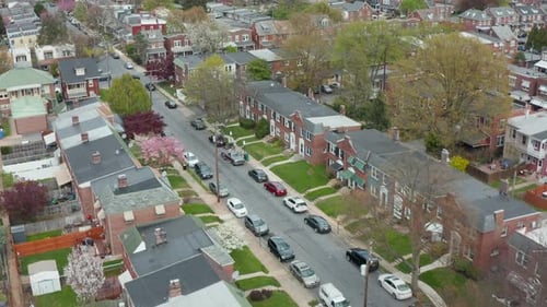 Quiet American city street. Establishing shot in residential district in USA. Colorful trees bloom d