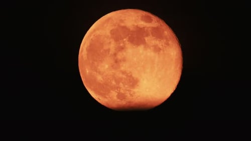 Full Glowing Orange Moon Zooming in at Night