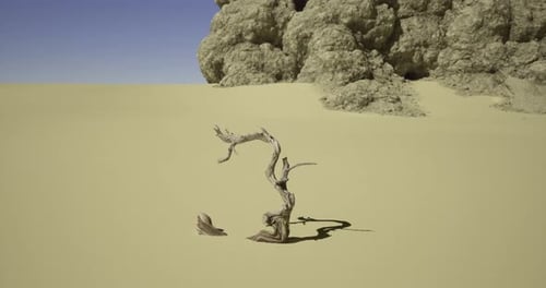 Dry Desert Scene Featuring a Warped Tree Branch in the Sand