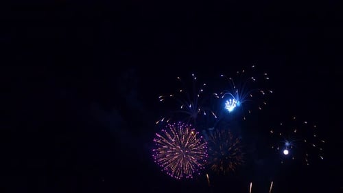 Colorful Fireworks Exploding in the Night Sky