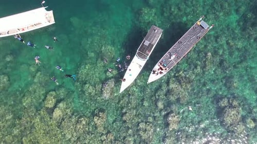 Snorkeling