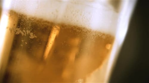 Beer Poured into a Glass, Bubbles Rising
