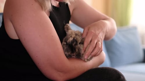 Woman Loving Pet Rabbit Indoors on Couch