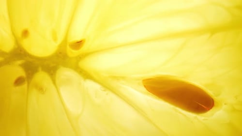 Close Up of a Bright Yellow Lemon Slice