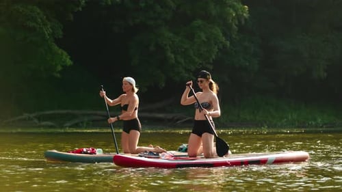 Women Paddle Boarding on Lake in Summer