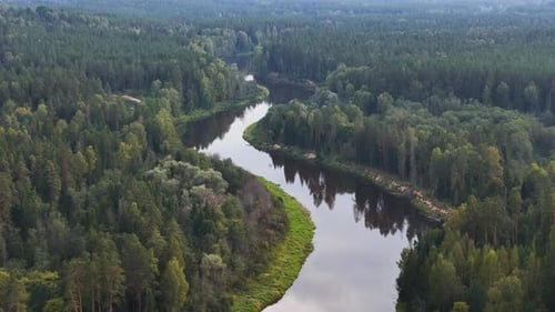 Aerial View of Serene River Winding Through Dense Green Forest in Cesis, Latvia