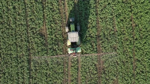 Tractor Sprays The Field Top View