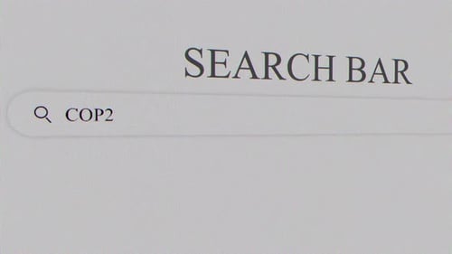 Cop28 Search Bar Popular On Search Engines Across Various Domains