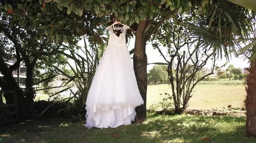 Elegant white wedding dress hangs on tree branch