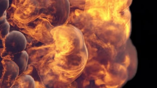 Fire Transition
