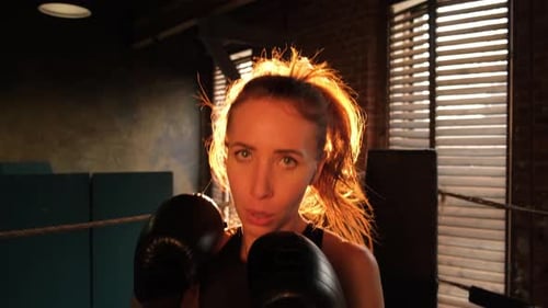 Female Boxer Training in Golden Sunlight