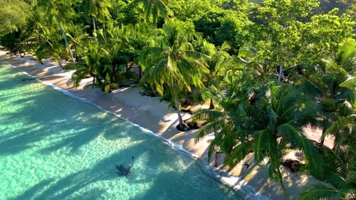 Explore the Turquoise Waters and Lush Palm Trees of Koh Kood Island in Thailand