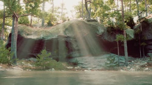 Sun Shines Through Trees Over Water