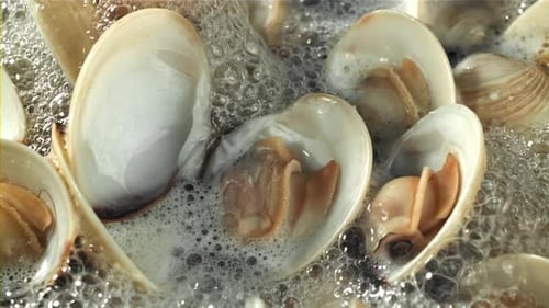 Une vongole fraîche est bouillie dans un wok, filmée par une caméra à haute vitesse à 1000 images par seconde