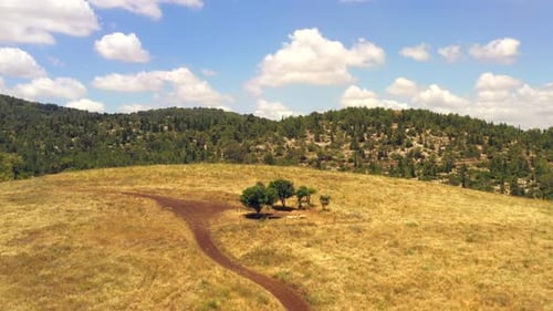 Rural Hilltop with a trail leading to Three small trees, Aerial view.