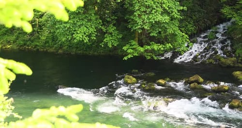Fast Flowing Stream Of A River Mountain On Rainforest During Summer. Static Shot
