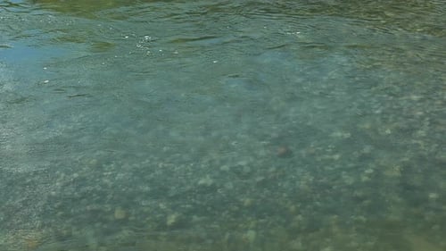 superficie de agua transparente en un río con fondo de guijarros.