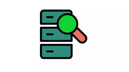 Data Server Search and Verification Icon