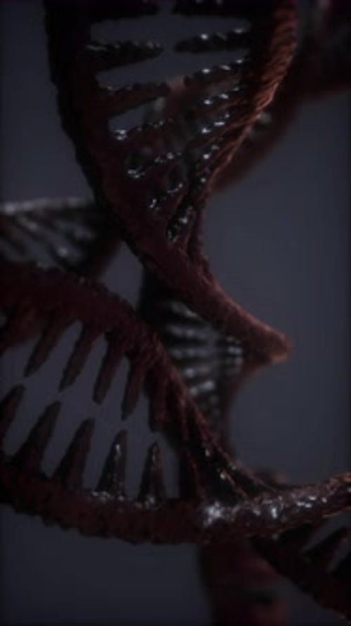 Loop Double Helical Structure of Dna Strand Closeup Animation