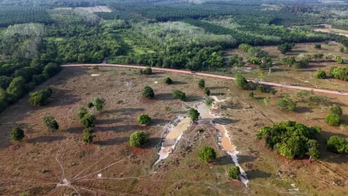 Overhead Shot of Vehicles Traveling on Country Road