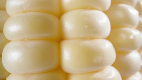 Corn cob with leaves rotates super close-up.