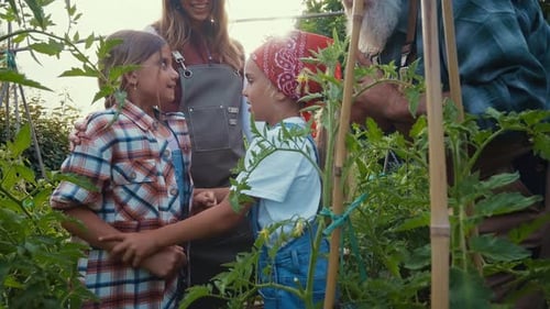 Family Gardening Together in a Rural Garden Plot