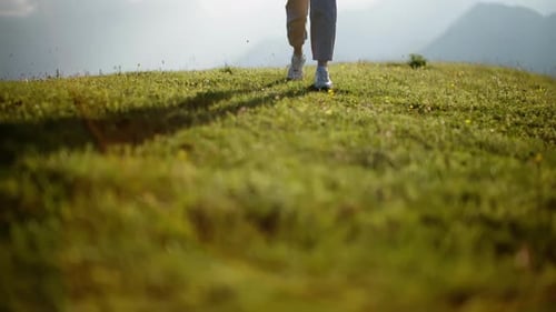Closeup of Feet Walking on Sunlit Grassy Path Sunlit Grass with Walking Feet