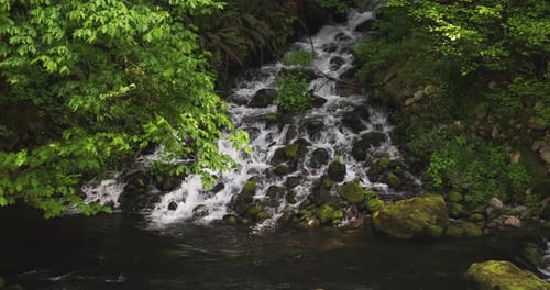 Rapids On Rocky River Mountain At Tropical Rainforest. Static Shot