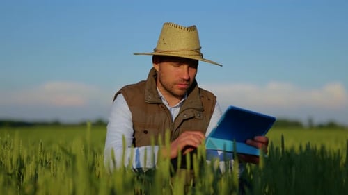 Smiling Male Farmer Wearing Straw Hat While Sitting in the Field of Rye While Using Digital Tablet