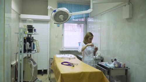 Veterinarian Operating Room