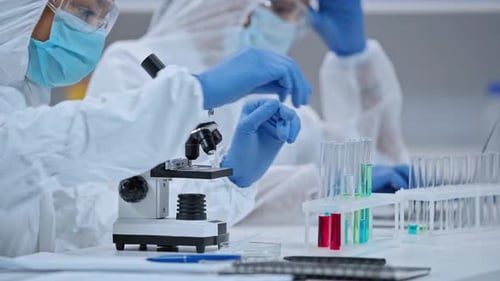 Scientists Conducting Medical Research in a Laboratory