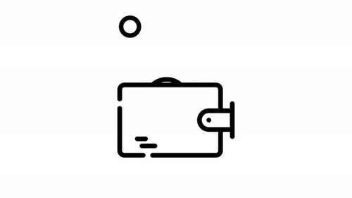 Animation Expense Wallet Icon