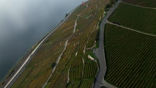 Reveal drone shot of Lake Geneva and Lavaux vineyards